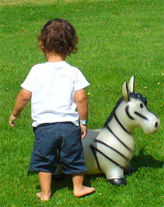 Huepf-Pferd-zebra